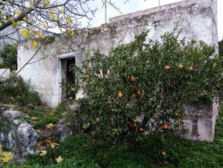 Πρέπει να βρεθούμε στο ίδιο τραπέζι και να συζητήσουμε, να ξαναβρούμε την ταυτότητα μας και να πορευτούμε στο μέλλον